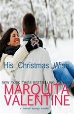 His Christmas Wish (Holland Springs #3.5)